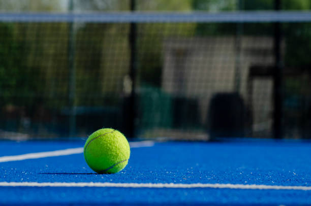 Constructeur court de pickleball